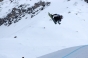 , Winter X-Games Mens Board Slopestyle 2011 - Courchevel Enquirer